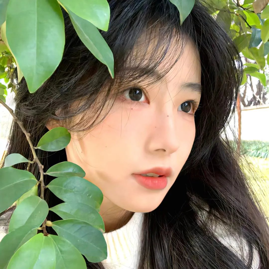 玉贞姐姐